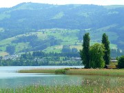 302  Lake Zurich.JPG